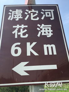 滹沱河畔百花盛開，石家莊市民賞花正當時
